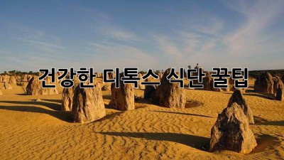 건강한 디톡스 식단 꿀팁 ✨